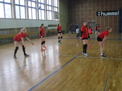 volejbal